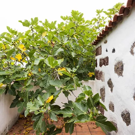 El Naranjero 別荘 El Tanque